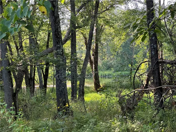 12609 W McDonald Road, Bruce, WI 54819