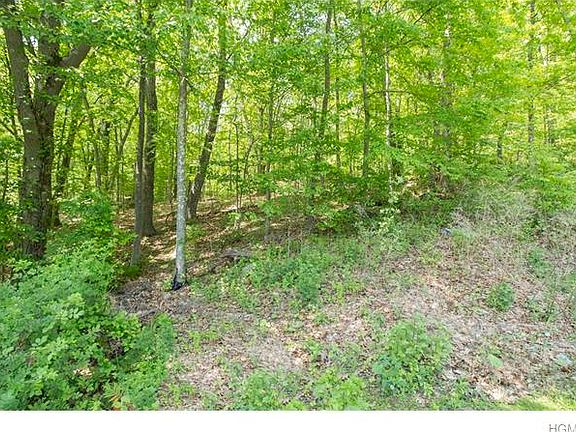 5th image of 11 Forest Lake Dr