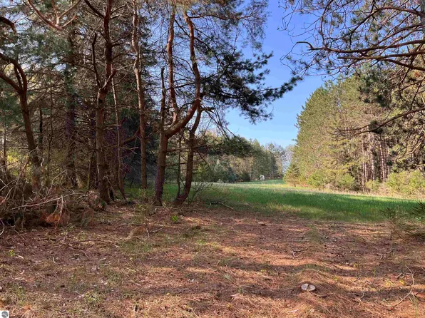 Vl E&f Lynn Rd, Bellaire, MI 49615