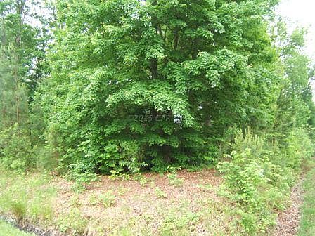 2nd image of 1504 Paca Ct