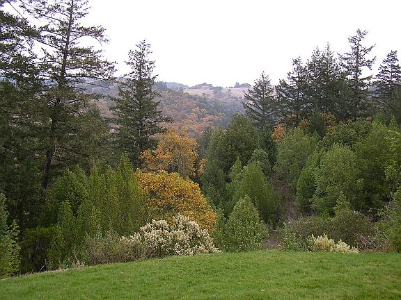 View to eastern hills