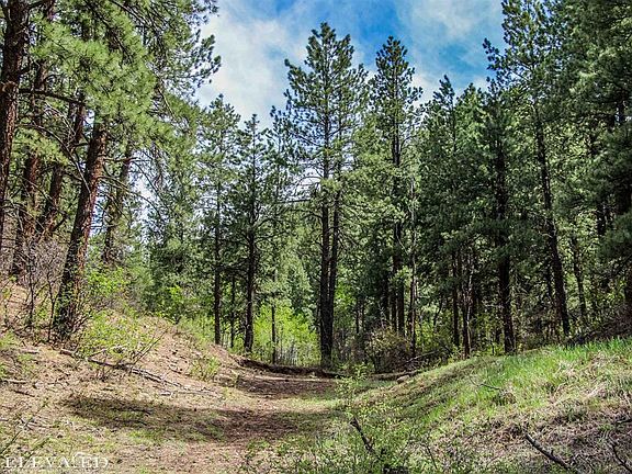 2nd image of 548 Bear Creek Circle
