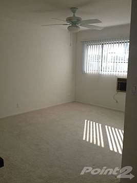 photo (2)