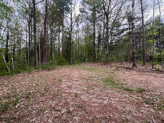 2nd image of 8919 E Gladwin Rd