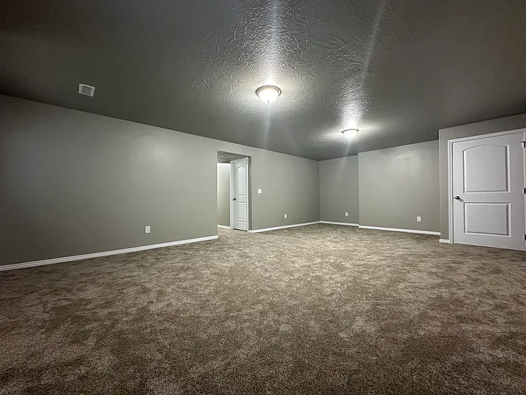 10684 S Wild Rice Dr — Photo 17