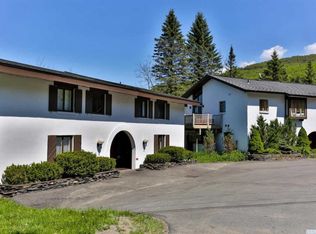 67/1 Cd Lane Rd, Windham, NY 12496