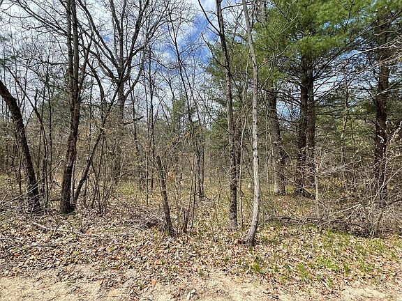 4th image of 8675 Chippewa Trl