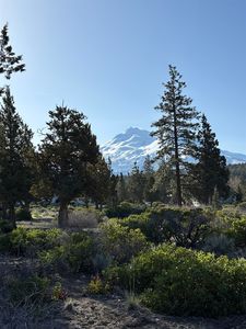 1 Lake Shastina Dr Unit 8-279, Weed, CA, 96094