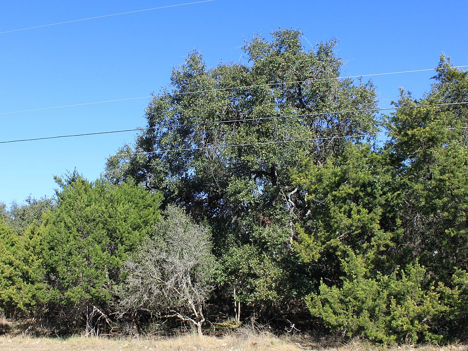 2nd image of 26114 Silver Cloud Dr
