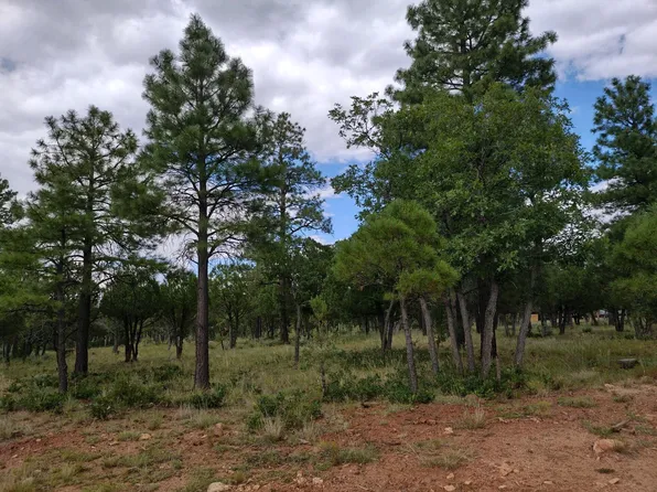 3422 Durango Dr, Happy Jack, AZ 86024