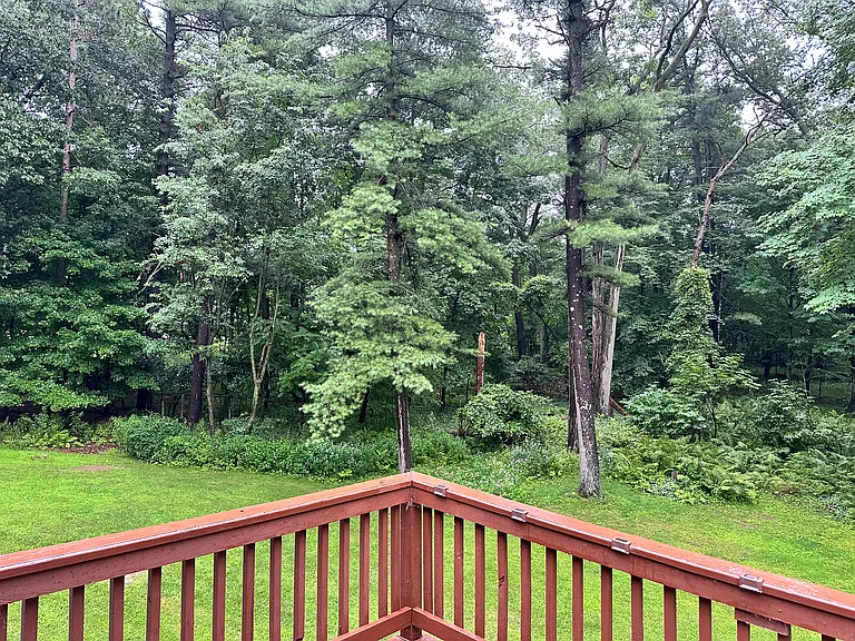 2230 Cathedral Forest Dr — Photo 6
