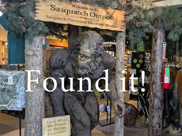 4501 County Road 72, Bailey, CO 80421