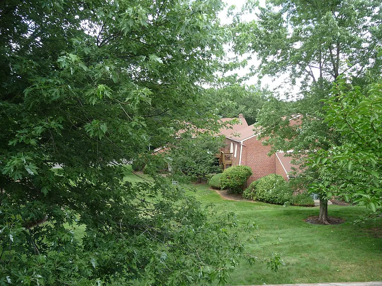 706 Meadow Woods Ln — Photo 6