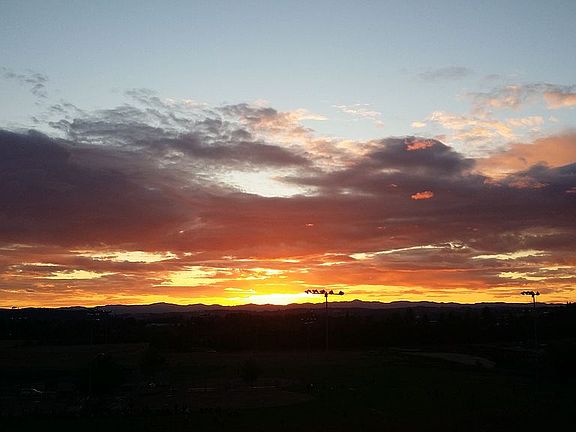 View from Livingroom