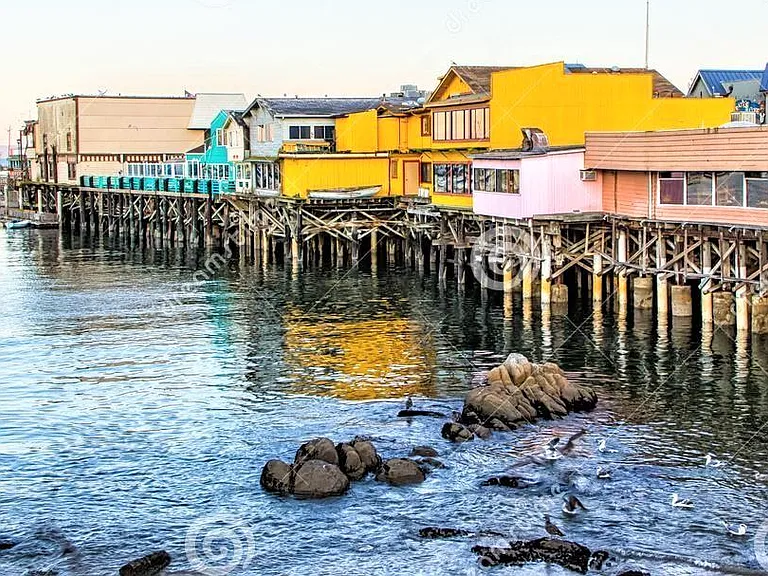 Quick Walk to Fisherman's Wharf Restaurants, Shops, Whale Watching, & Glass Bottom Boat Tours!