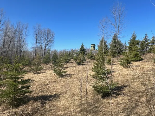 X Tamarac Rd, Onamia, MN 56359
