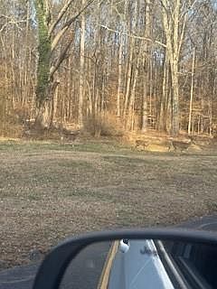 4th image of 224 Dollar Mill Rd SW