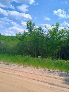 0 Pontius Rd SE, Kalkaska, MI, 49646