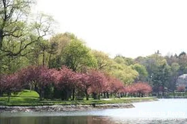 Reservoir Nearby