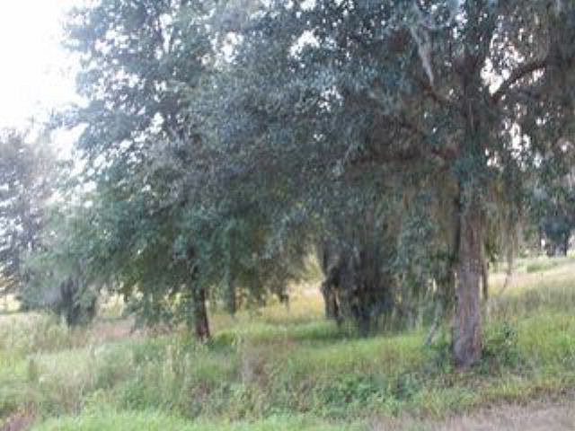 2nd image of 845 Akin Rd