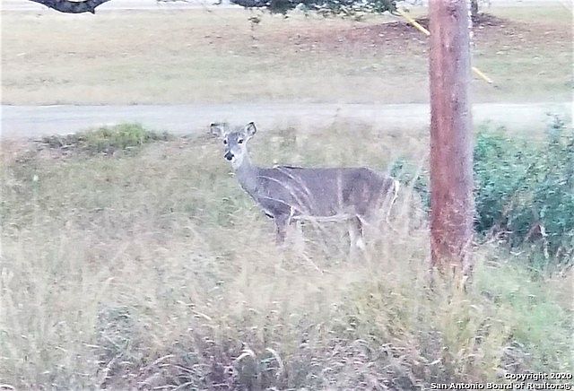 1st image of 8826 Rolling Acres Trl