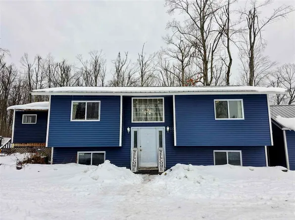 7028 Barney Rd, Alanson, MI 49706