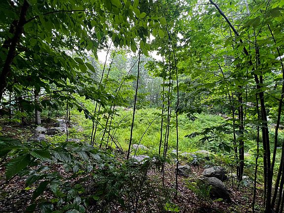 2nd image of 0 Jenness Hill Road #24