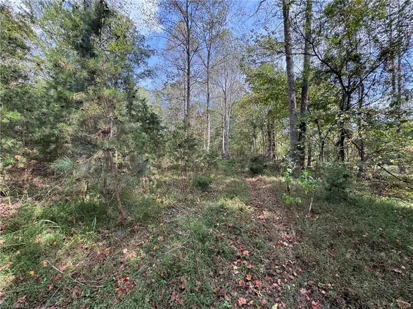 1160 Sandy Ln, Sandy Ridge, NC 27046