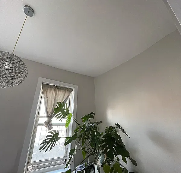 18 Irving Ave #1D — Photo 6