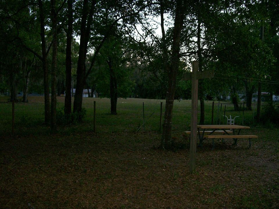 Lots of trees