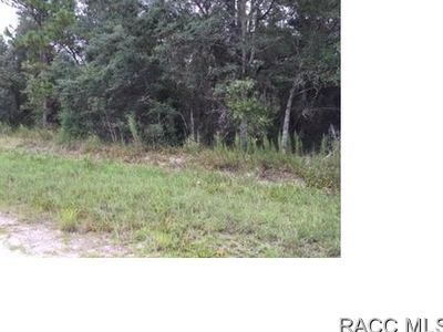 11014 Golden Warbler Rd, Brooksville, FL, 34613