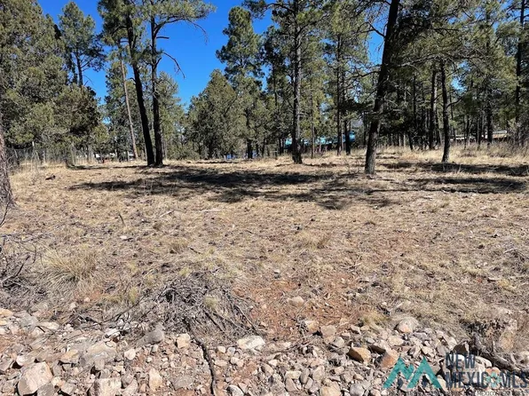 Lots 40 41 Homewood Dr, Timberon, NM 88350