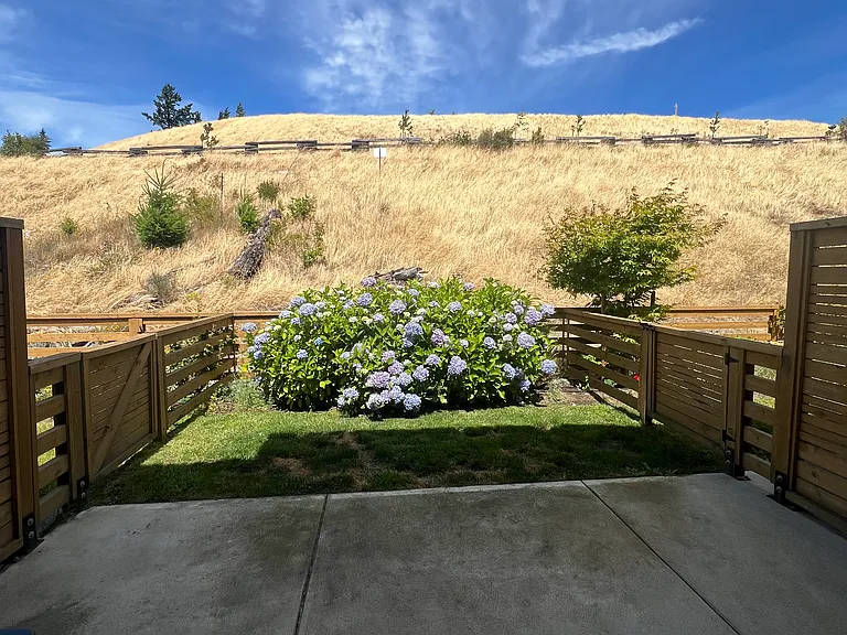 255 Caspian Dr — Photo 17