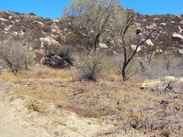 1st image of 0 Crazy Horse Cyn #782