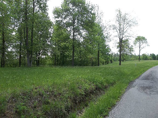 2nd image of 456 Taffy Rd