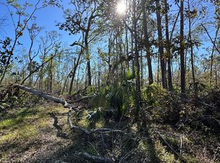 0 SW 126th Ave, Steinhatchee, FL 32359