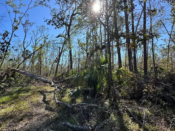 0 SW 126th Ave, Steinhatchee, FL 32359