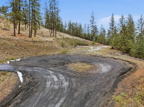 Xx Syringa Way, Nine Mile Falls, WA 99026