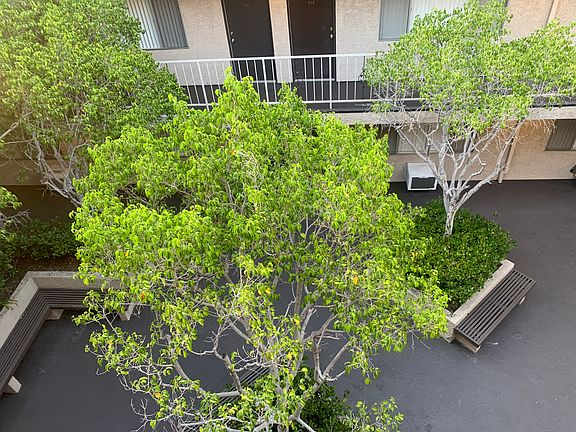 4th image of 423 S Westmoreland Ave #1B-1Ba