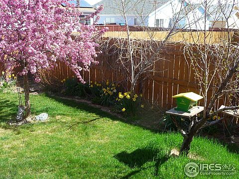 5th image of 2623 Park View Dr