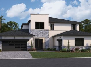 Canary Plan, Serengeti, Spring Hill, FL 34610