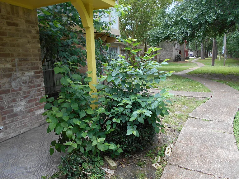 12447 W Village Dr #E — Photo 15