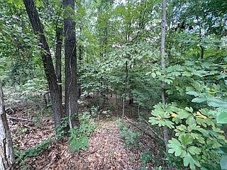 4th image of 2 Chelmsworth Cir