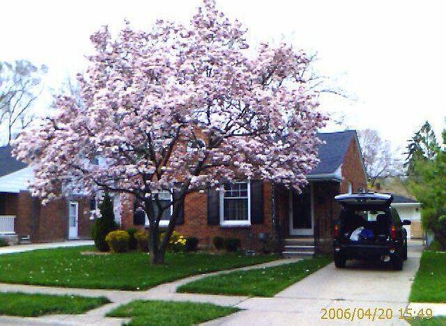 1st image of 926 Cedar Hill Dr