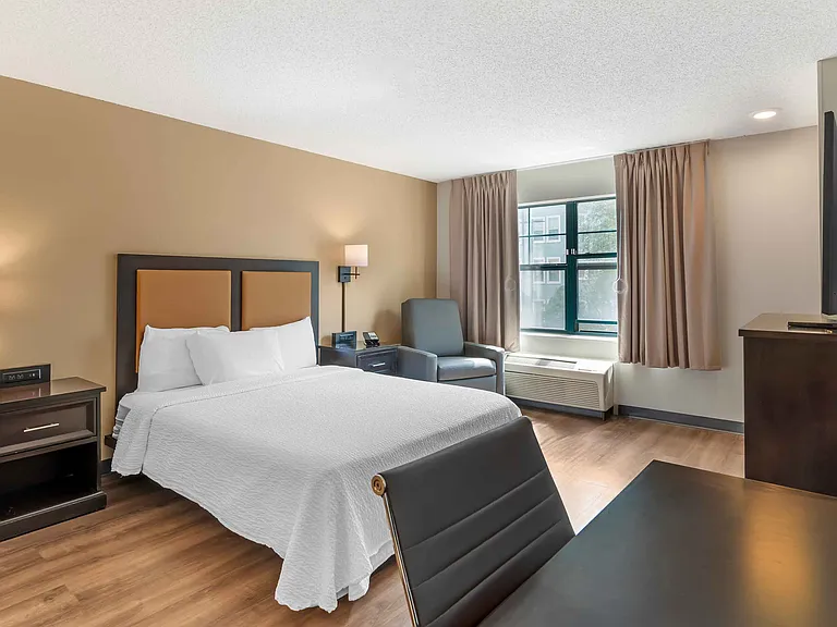 Studio Suite - 1 Queen Bed