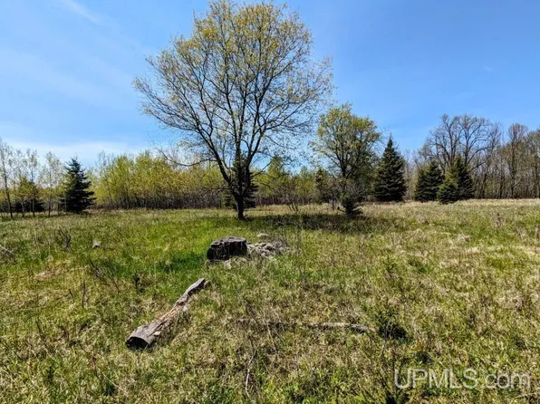 LOT 19 Willow St Lot 19, Gaastra, MI 49927