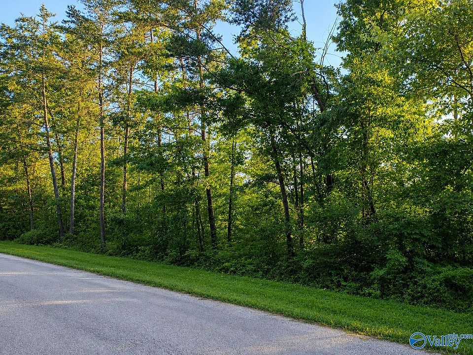 1st image of TRACT-12C Thirteen County Rd #711