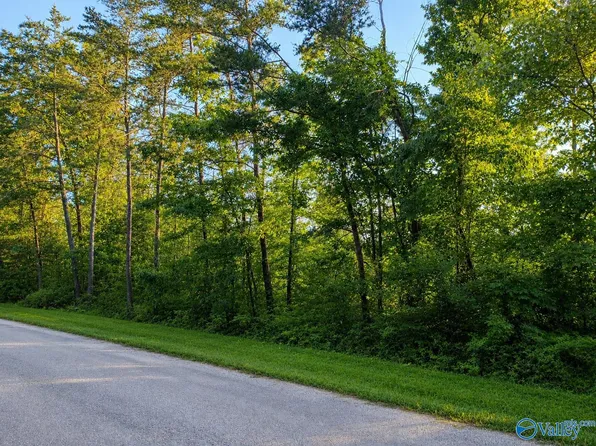 TRACT-12C Thirteen County Rd #711, Cedar Bluff, AL 35959
