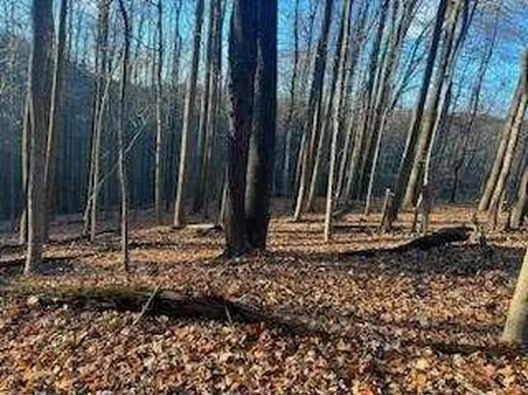 16 Laidleys Run Rd, West Alexander, PA 15376