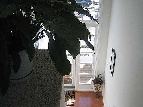 View down to Foyer